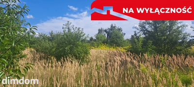 Odpoczynek po trudach!!! Tylko w Susznie!!!