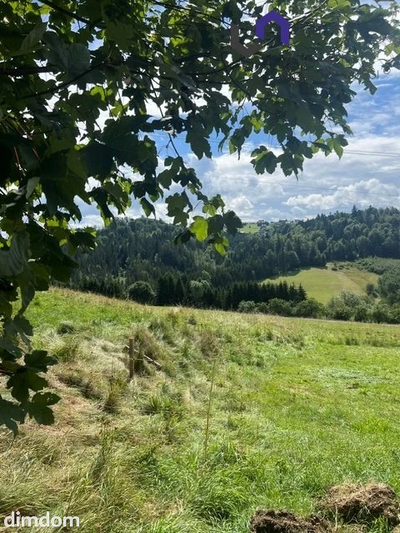 Na sprzedaż wyjątkowa działka o powierzchni 1154 m 2  , położona w malowniczej miejscowości Jaworzynka, w sercu Beskidów. Działka ma nieregularny kształt i jest lekko nachylona, dzięki czemu pięknie…