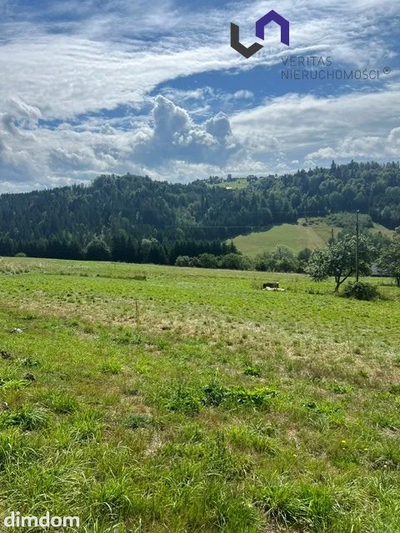 Na sprzedaż wyjątkowa działka o powierzchni 1154 m 2 , położona w malowniczej miejscowości Jaworzynka, w sercu Beskidów. Działka ma nieregularny kształt i jest lekko nachylona, dzięki czemu pięknie… - 3
