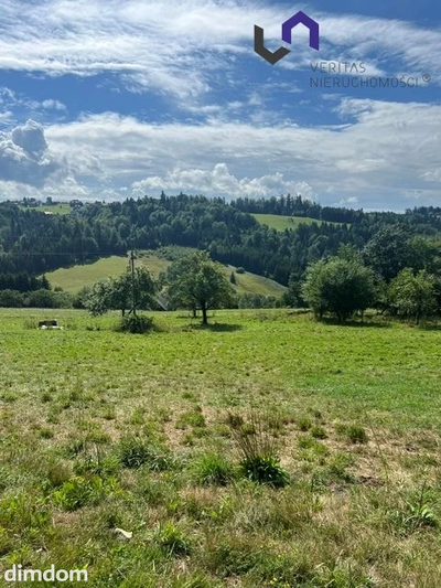 Na sprzedaż wyjątkowa działka o powierzchni 1154 m 2 , położona w malowniczej miejscowości Jaworzynka, w sercu Beskidów. Działka ma nieregularny kształt i jest lekko nachylona, dzięki czemu pięknie… - 4