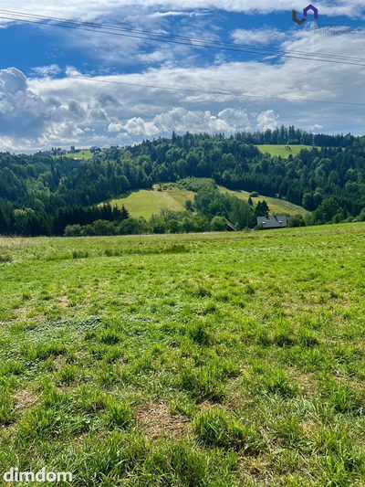 Na sprzedaż wyjątkowa działka o powierzchni 1154 m 2  , położona w malowniczej miejscowości Jaworzynka, w sercu Beskidów. Działka ma nieregularny kształt i jest lekko nachylona, dzięki czemu pięknie…