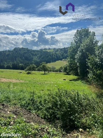 Na sprzedaż wyjątkowa działka o powierzchni 1154 m 2 , położona w malowniczej miejscowości Jaworzynka, w sercu Beskidów. Działka ma nieregularny kształt i jest lekko nachylona, dzięki czemu pięknie… - 5