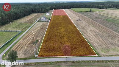 Działki Inwestycyjne 2,66 ha na sprzedaż | Kaczory | Produkcja • Magazyny • Logistyka • Baza Transportowa