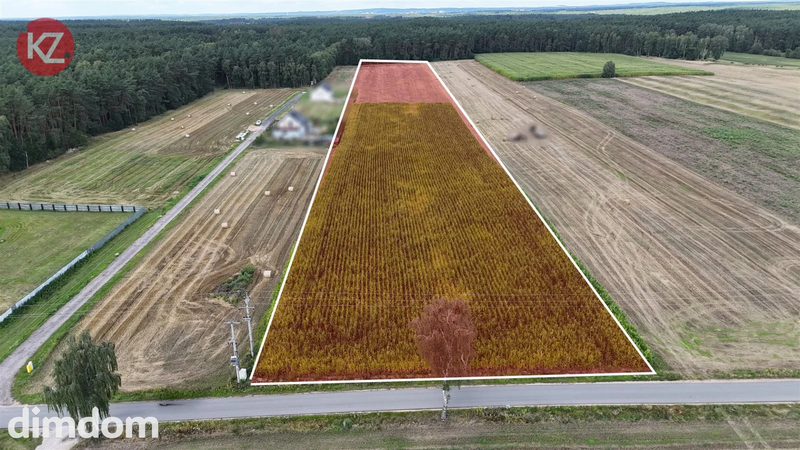 Działki Inwestycyjne 2,66 ha na sprzedaż | Kaczory | Produkcja • Magazyny • Logistyka • Baza Transportowa - dd_d1c42794_zs_KZSC-GS-5764_1.jpg