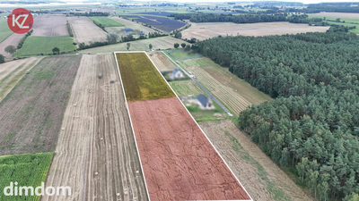 Działki Inwestycyjne 2,66 ha na sprzedaż | Kaczory | Produkcja • Magazyny • Logistyka • Baza Transportowa - 5