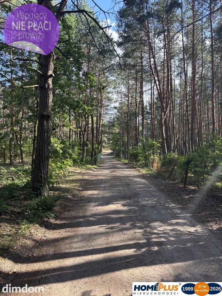 Działka budowlana w lesie, Łosie koło Radzymina - 114918460.jpg