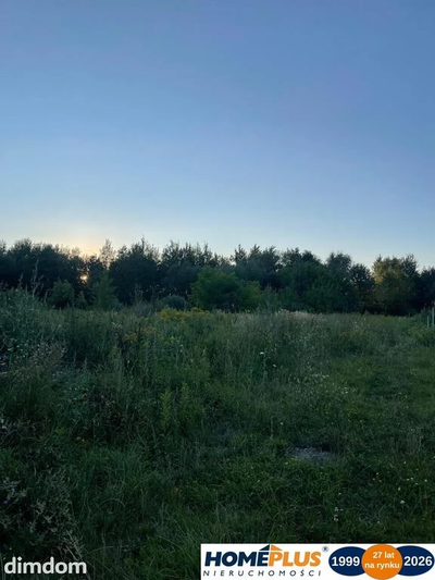 Działka 9339 m² pod dom lub usługi - 4