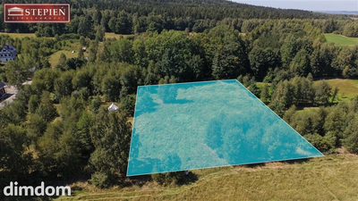 Działka w Antoniowie 3000mkw przy asfalcie - 4