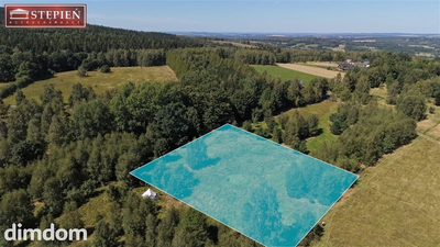 Działka w Antoniowie 3000mkw przy asfalcie - 2