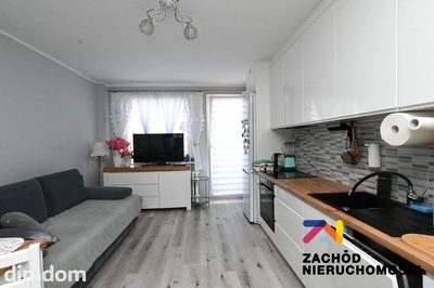 Atrakcyjne 3-pokojowe mieszkanie z balkonem, po kapitalnym remoncie w 2022 roku! - 4