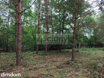 Działka przy lesie w Komorowie gmina Michałowice - 3