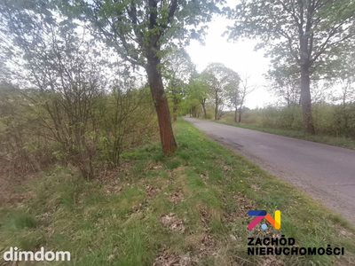 Oferujemy Państwu do sprzedaży DZIAŁKĘ ROLNĄ O POW. 1,25 HA - 4