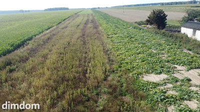 Miłków Kolonia. Piękna działka budowlana! - 4