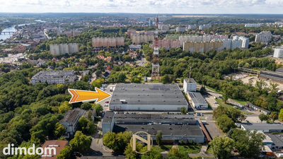 Lokal na wynajem