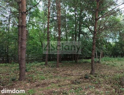 Na sprzedaż działka budowlana o powierzchni 1 981 m2 położona w Komorowie, gmina Michałowice. Działka w kształcie o szerokości 21 m i długości 95 m (od drogi). Dojazd drogą utwardzoną. W drodze przy…