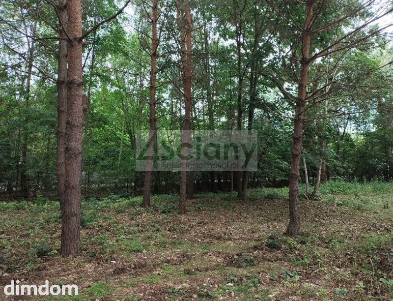 Na sprzedaż działka budowlana o powierzchni 1 981 m2 położona w Komorowie, gmina Michałowice. Działka w kształcie o szerokości 21 m i długości 95 m (od drogi). Dojazd drogą utwardzoną. W drodze przy… - 115055215.jpg