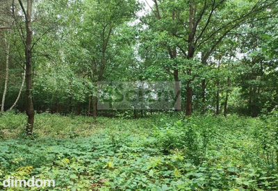 Na sprzedaż działka budowlana o powierzchni 1 981 m2 położona w Komorowie, gmina Michałowice. Działka w kształcie o szerokości 21 m i długości 95 m (od drogi). Dojazd drogą utwardzoną. W drodze przy… - 2
