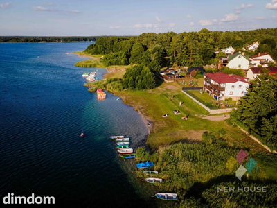 Wśród drzew, 200 m od jeziora Świętajno, widok - 3