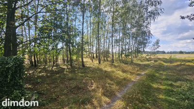 Działka, Wólka Wytycka, 10 ar, budowlana - 5