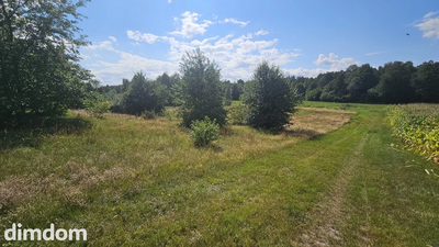 Działka,Luta, Włodawa, 1,5 ha, budowlana, urokliwa - 3