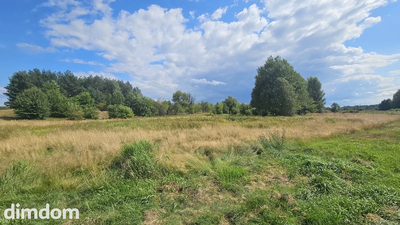 Działka,Luta, Włodawa, 1,5 ha, budowlana, urokliwa - 4