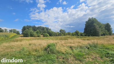 Działka,Luta, Włodawa, 1,5 ha, budowlana, urokliwa - 5