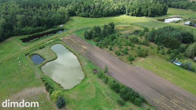 Działka,Luta, Włodawa, 1,5 ha, budowlana, urokliwa - 2