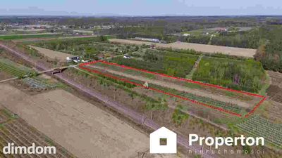 Gospodarstwo sadownicze 6,86 ha Franciszków - 5