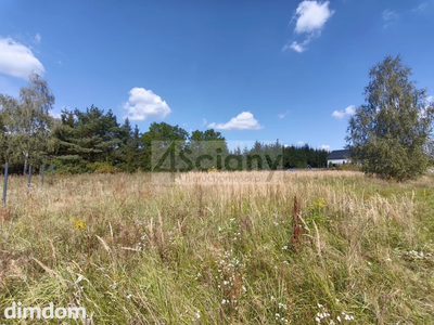 Piękna działka w Zarębach - 3