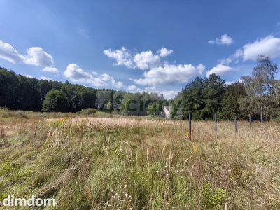 Piękna działka w Zarębach - 5