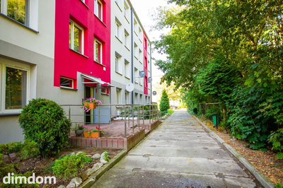 Metraż, który pokocha Twoja rodzina - 3
