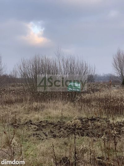 Działka z wydanymi warunkami zabudowy.