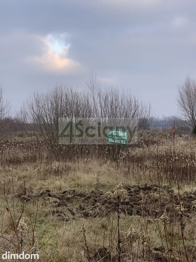 Działka z wydanymi warunkami zabudowy. - 115136954.jpg