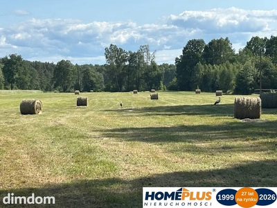 Siedlisko pod lasem, 1,8 ha niedaleko Warszawy - 2