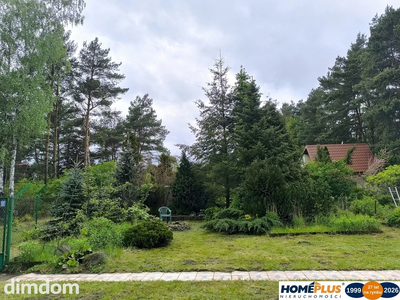 Cicha kształtna działka w otulinie lasu koło rzeki - 3