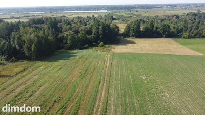 Piękna działka rolno-budowlana, Żminne, Parczew.