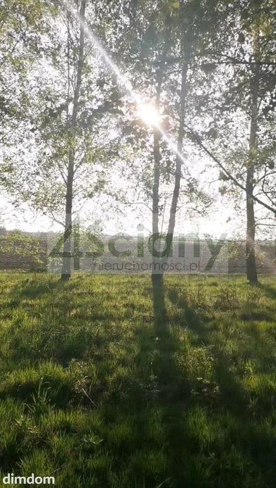 Cicha działka w gminie Leszno - 2