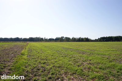 Działka budowlana 18ar obok jezioro Krasne - 4