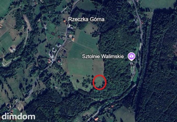 Działka w Górach Sowich - dd_f2ca8381_zs_21722_1.jpg