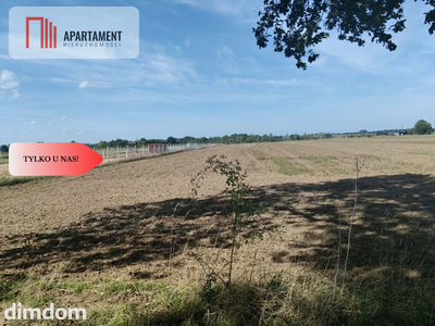 Działka rolna 1,09 ha Głoska gm. Miękinia - 2