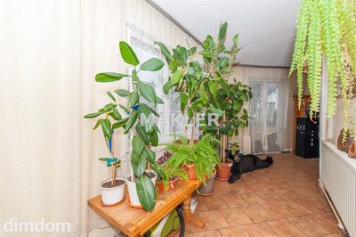 Dom bliźniak Miedzyń, do kapitalnego remontu! - 5