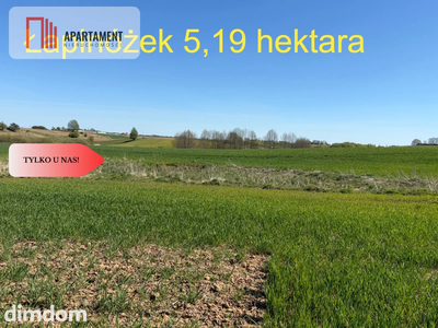 Działka rolna Łapinóżek 5,19 hektara - 2