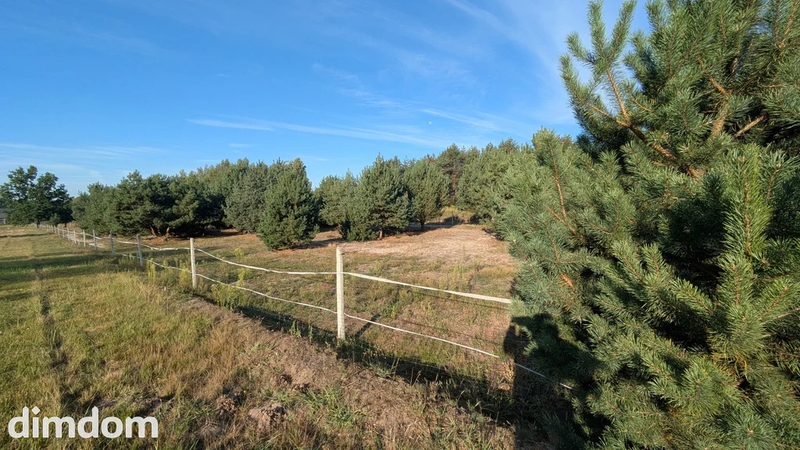 75 arów | 7 ar MN + 68 ar rolnych | Kazimierzów - 115177706.jpg