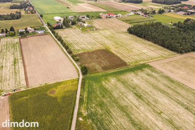Działka budowlana Dobra Nadzieja - 3