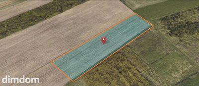 Przestronna działka 3001 m² Ignaców - 4