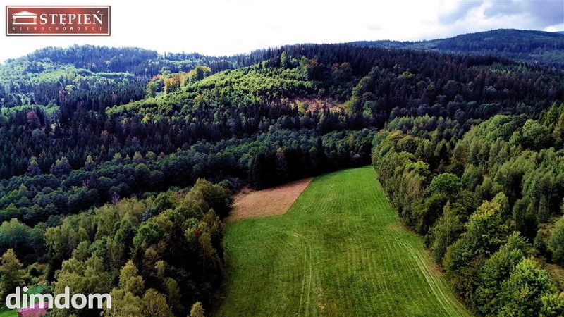 SZAROCIN | 1530 m² | CISZA, LAS I GÓRSKIE WIDOKI - dd_1aa802a1_zs_GS-29345_1.jpg