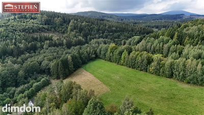 SZAROCIN | 1530 m² | CISZA, LAS I GÓRSKIE WIDOKI - 3