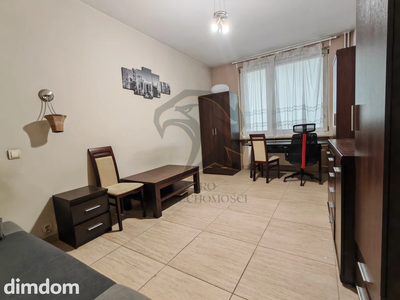 Tajna Oaza na Placu Muzealnym