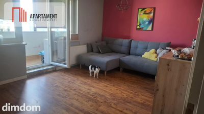 3pokojowe mieszkanie w Brzegu Dolnym - 3
