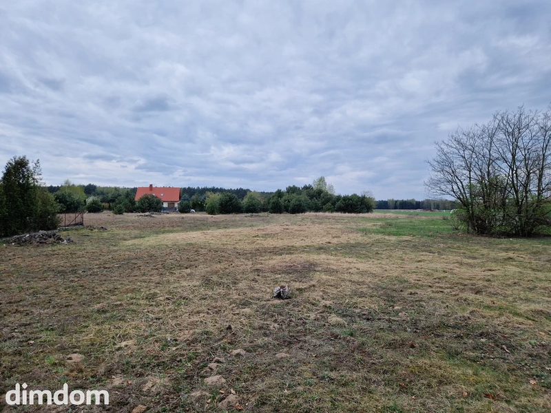 Działka z WZ | 2977 m² | gm. Zgierz - 115433660.jpg